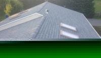 Green Apple Roofing image 3